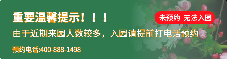 九公山